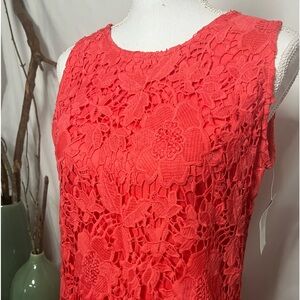 NWT Ronnie Nicole sleeveless orange lace dress, size 10